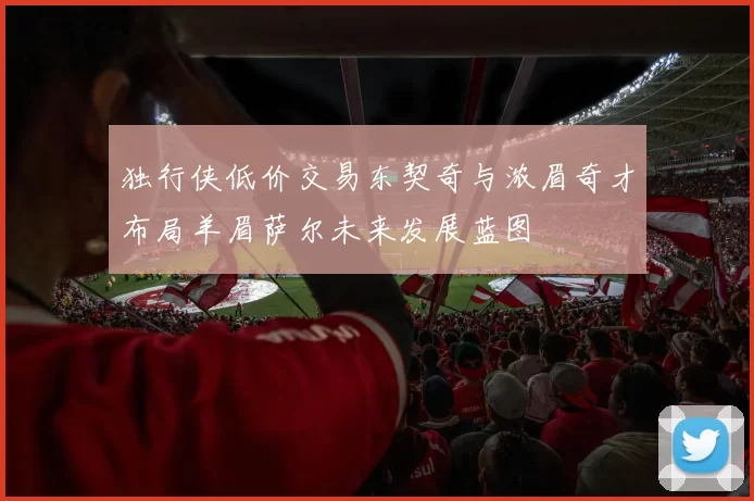 独行侠低价交易东契奇与浓眉奇才布局羊眉萨尔未来发展蓝图