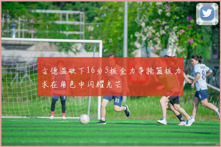 古德温砍下16分5板全力争抢篮板力求在角色中闪耀光芒